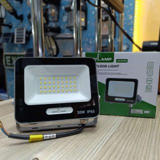 30W AC Floodlight